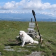 Op�t v Tatr�ch
